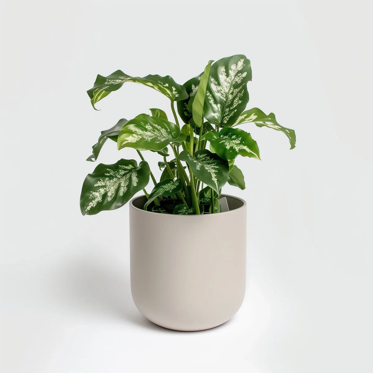 Example product