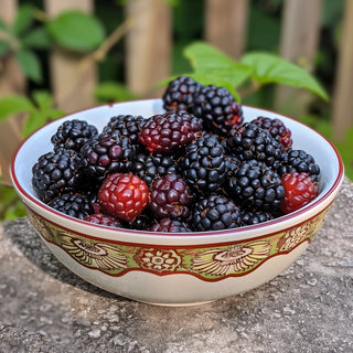 Bowl of blackberries and raspberries on a stone surface with a blurred natural background