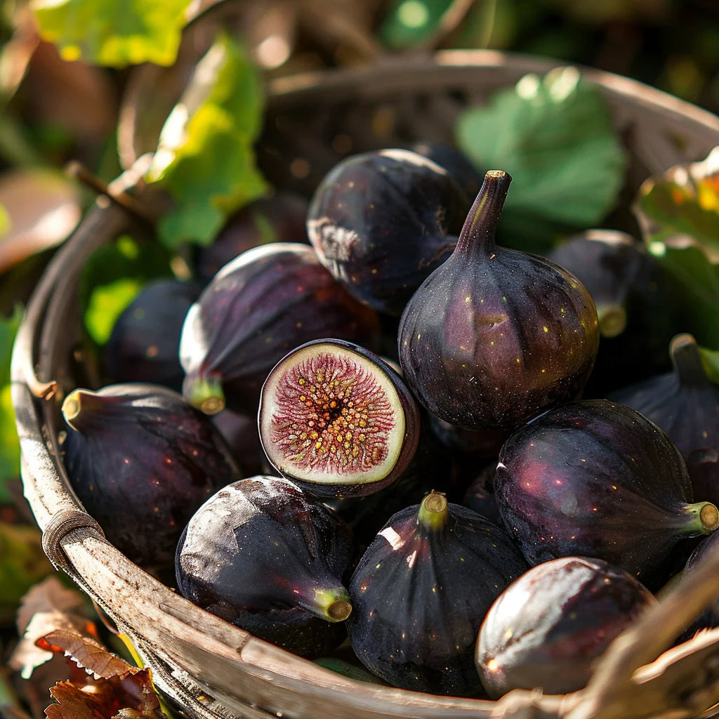 Basket of Black Jack figs with a halved fig showing its interior.